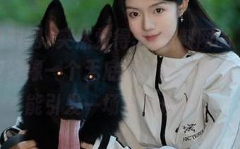 突然觉得51黑料网的“收藏”功能好像一个无底洞，随便丢进去啥都能引发一场八卦风暴。