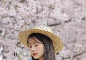 吃瓜导航：打开八卦进入的，是个芬芳扑鼻的入口啊