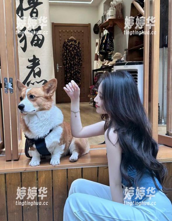 吃瓜网 用苹果版吃瓜网就像在朝阳下追逐热辣辣的八卦,眼花缭乱。