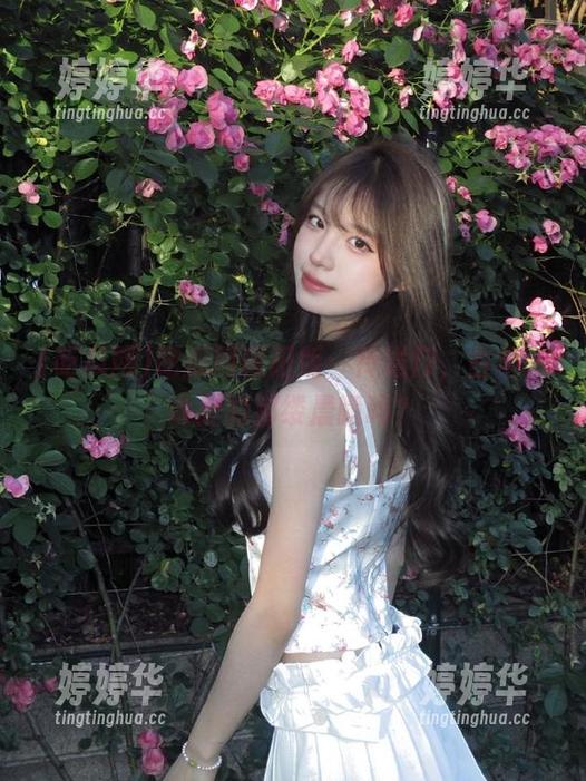 吃瓜网朝阳版：传送门，古早传说里的那缕晨曦吗？