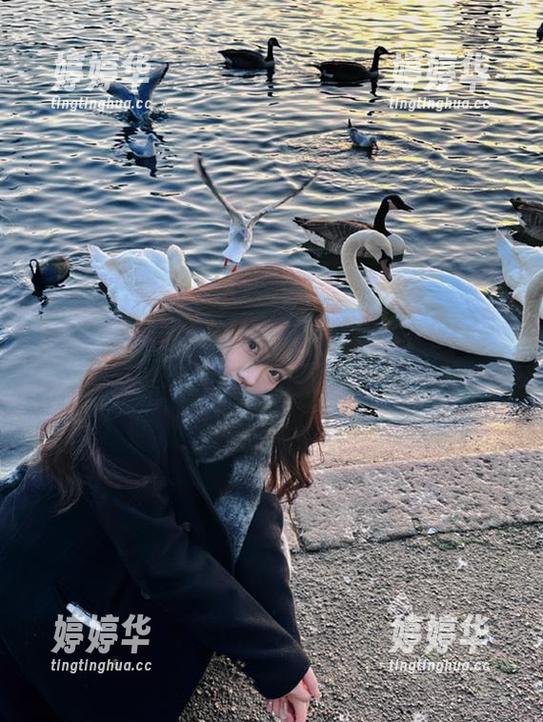天天吃瓜网：我已在瓜的“地址”迷失了方向