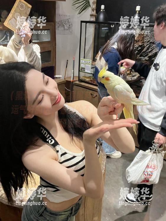 黑料不打烊 下载黑料不打烊万里长征,运气好的话,看到的不止八卦,还有那份甜蜜的心动!